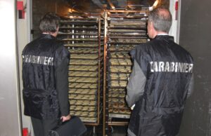 Blatte, muffa e umidità: il Nas chiude un panificio di Cagliari