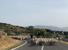 Da Laconi a Desulo: le suggestioni della transumanza in Sardegna | Foto