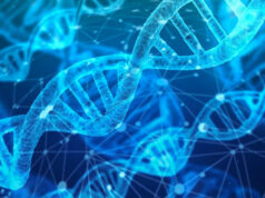 Tumori, il DNA dei sardi a servizio della scienza | Lo studio su Nature