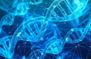 Tumori, il DNA dei sardi a servizio della scienza | Lo studio su Nature