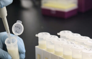 La ricotta più lunga del mondo per dire “no” al cibo sintetico