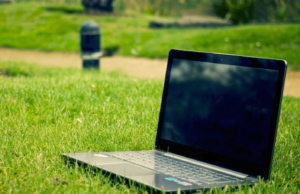 Smart working in mezzo alla natura | Il “banco green” nasce in Sardegna