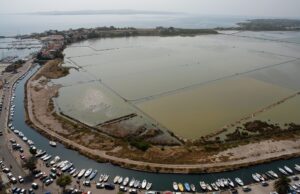 Carloforte: un nido artificiale per proteggere gli uccelli migratori