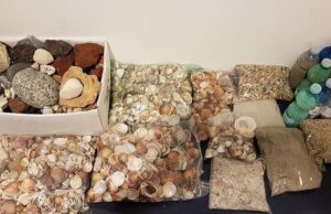 Al porto di Cagliari con due zaini pieni di conchiglie, fermata coppia di turisti