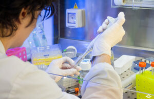 Cellule staminali, all’Università di Cagliari 87 enti da tutto il mondo