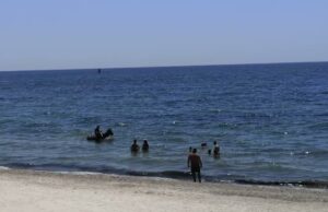 Margine Rosso: i cavalli fanno il bagno al Poetto per sfuggire all’afa | Video