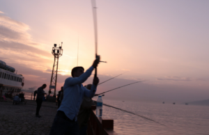 Pesca, Agci: ripopolamento ittico e tutela pescatori | Il progetto da 700mila euro