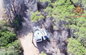 Piazzano barbecue nella pineta di Porto Ferro, sanzionati per rischio incendio