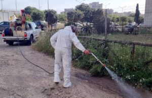 Cagliari centro, al via la disinfestazione dalle blatte