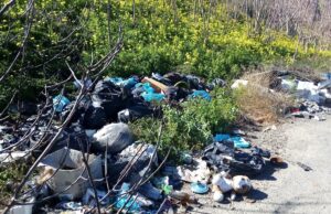 “Viale Monastir è una discarica a cielo aperto” | La denuncia degli ambientalisti
