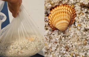 In valigia oltre 6 chili di sabbia di Cabras | Sanzionati due turisti