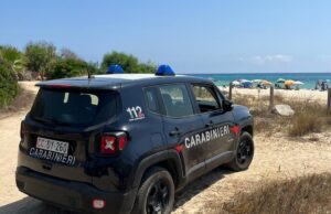 Pitbull si aggira in spiaggia attratto dai profumi, segnalata la proprietaria