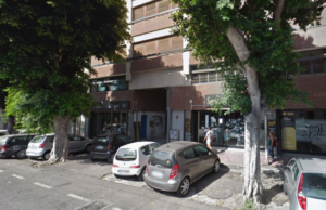 Abbattuto Ficus in viale Trieste per evidenti segni di cedimento