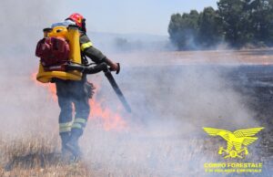 Pericolo incendio, a Cagliari confermata allerta media