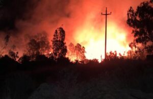 Altri 14 incendi in un solo giorno | Fiamme anche in una località turistica