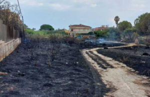 Fiamme nel campo estivo con 150 bambini | Il sindaco di Monserrato: “È doloso”