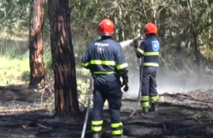 Nell’Isola altri 16 incendi | Fiamme anche nella pineta di Torre Grande
