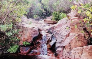 Tutela dell’ambiente, dalla Regione altri 800mila euro