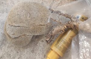 Sabbia nascosta in bomboletta spray di crema, fermati due turisti