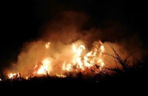 Molentargius brucia ancora, vigili del fuoco al lavoro tutta la notte