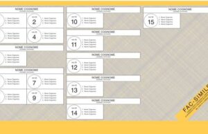 Errore insolito nella scheda, la candidata della Lega diventa “maschio”