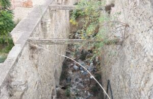Santa Chiara, interviene la Polizia Locale: i cani sono sani e salvi