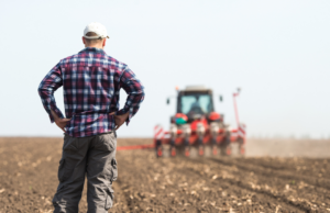 Agricoltura | In Sardegna, il prezzo più basso dei terreni agricoli
