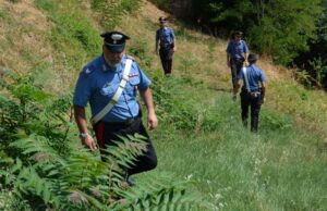 Tre piante di marijuana nell’ovile, 31enne di Gonnos denunciato dai carabinieri