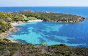 Un’area marina da Oscar: all’Asinara va il premio Ecoturismo 2022
