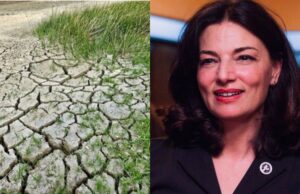 Siccità, l’assessora Murgia: “Pronti a verificare le pratiche per i ristori”