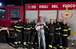 Cagnolino in un tubo di scolo, salvataggio dei Vigili del fuoco