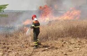 Quartu, cannabis nel parco di Molentargius: 30enne arrestato