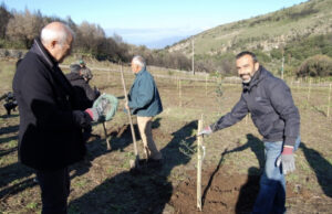 Il Montiferru rinasce, 12mila metri quadri rigenerati dopo le fiamme