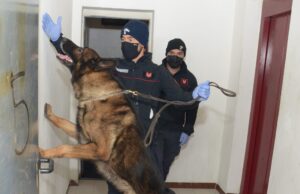 Dolianova: 23 chili di marijuana in camera da letto