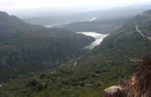 Perde l’equilibrio e finisce in acqua: pescatore muore annegato