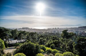 Sono circa 60 gli animali superstiti nel parco di Monte Urpinu