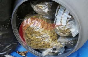 Talana, scoperta grande quantità di droga | Avrebbe fruttato 1 milione di euro