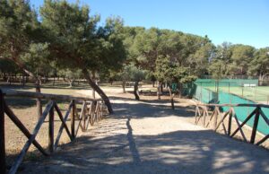 Aule verdi a Monte Urpinu, progetto di una scuola dell’infanzia a Cagliari