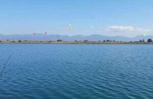 Scie luminose a Cagliari, gli ufologi: “Non erano elicotteri”