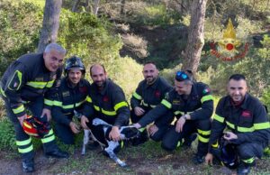 Cane si perde in un tunnel minerario: salvato dai Vigili del Fuoco