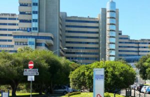 Dramma a Quartu, pitbull azzanna una donna e uccide i suoi cani