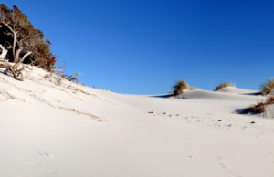Con il trattore tra le dune di Tuerredda: allevatore denunciato