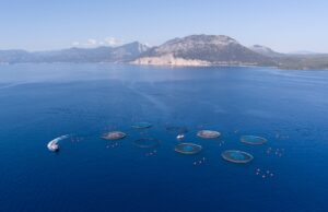 Parte dal Golfo di Orosei una nuova avventura per l’itticoltura sarda