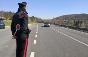 San Vito, con l’Audi va a sbattere contro una mucca