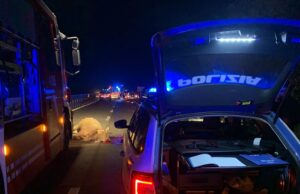 Incidente sulla 131, coinvolte 4 mucche e 4 auto