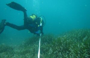 Università di Cagliari, premiato il progetto Res Maris