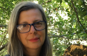 Guspini, accerchiata da cani randagi: paura per Daniela Ducato