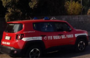 Nuxis, Vigili del fuoco salvano due cani caduti in pozzo minerario