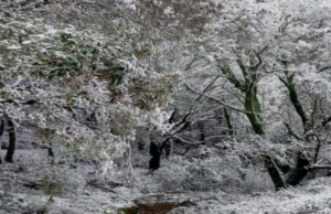 Maltempo, Lai (Pd): “La Barbagia di Belvì isolata per 14 ore”