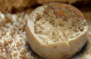 La proposta di Giagoni (Lega): “Rendiamo legale il Casu marzu”